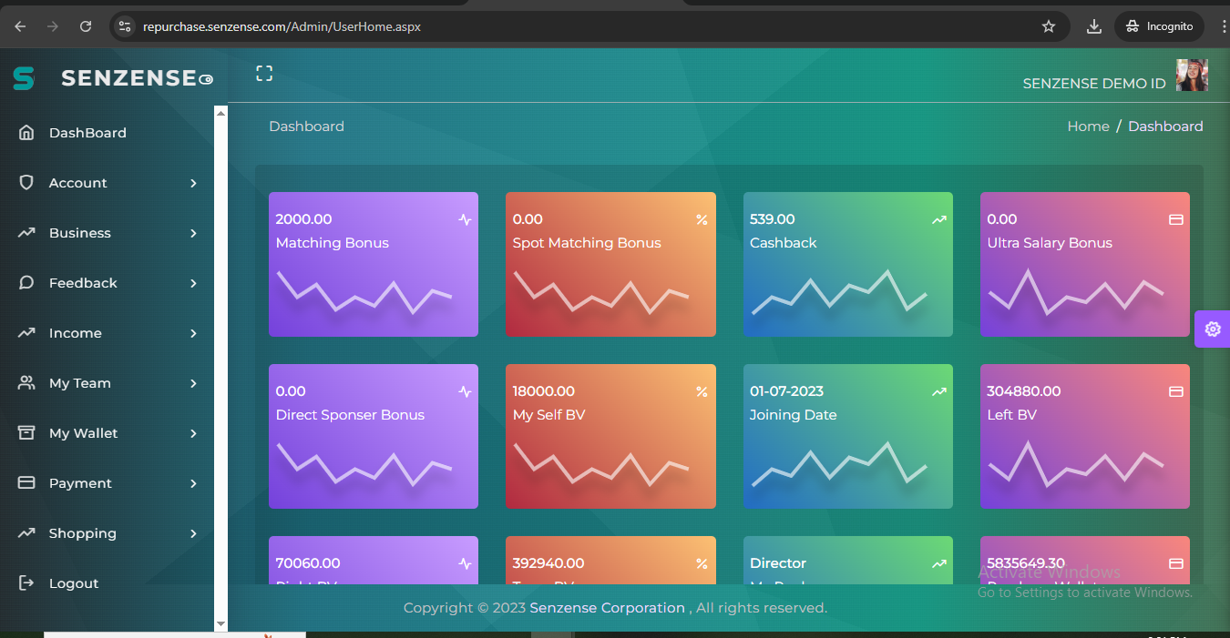  Software Business